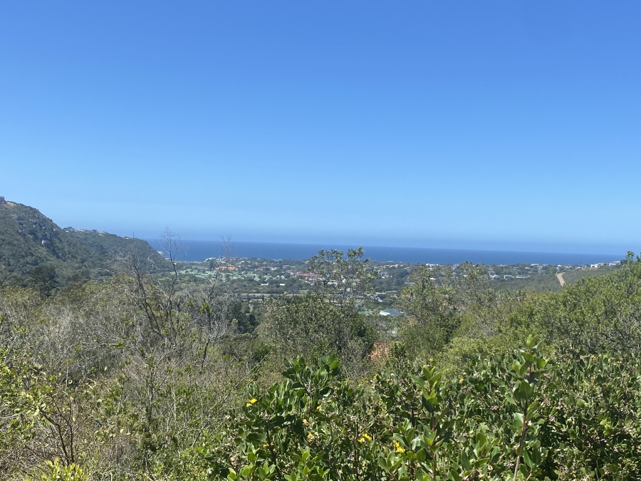 0 Bedroom Property for Sale in Schoongezicht Western Cape